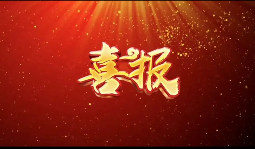 荣誉 | 瓦力游戏荣获&ldquo;2023年杜着秀合作同伴奖，共建共享共赢的范例&rdquo;